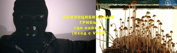 кокс Михайловск