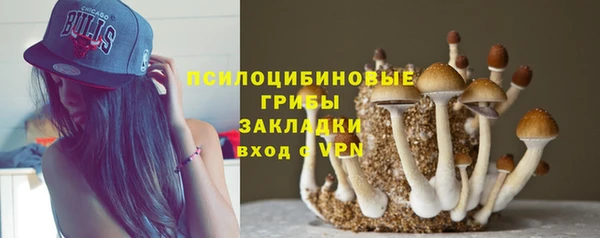 кокс Михайловск