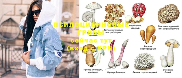 хмурый Михайлов