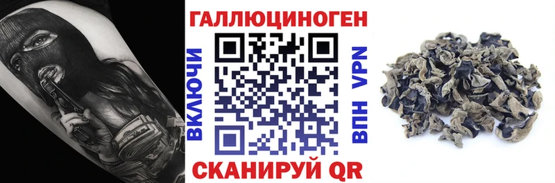 Галлюциногенные грибы Magic Shrooms  Цоци-Юрт 