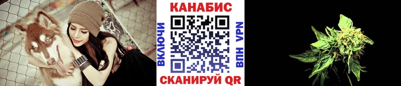 hydra как войти  Цоци-Юрт  Бошки Шишки сатива 